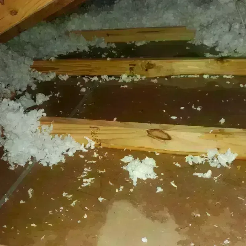 Attic Water Damage in Spooner, WI