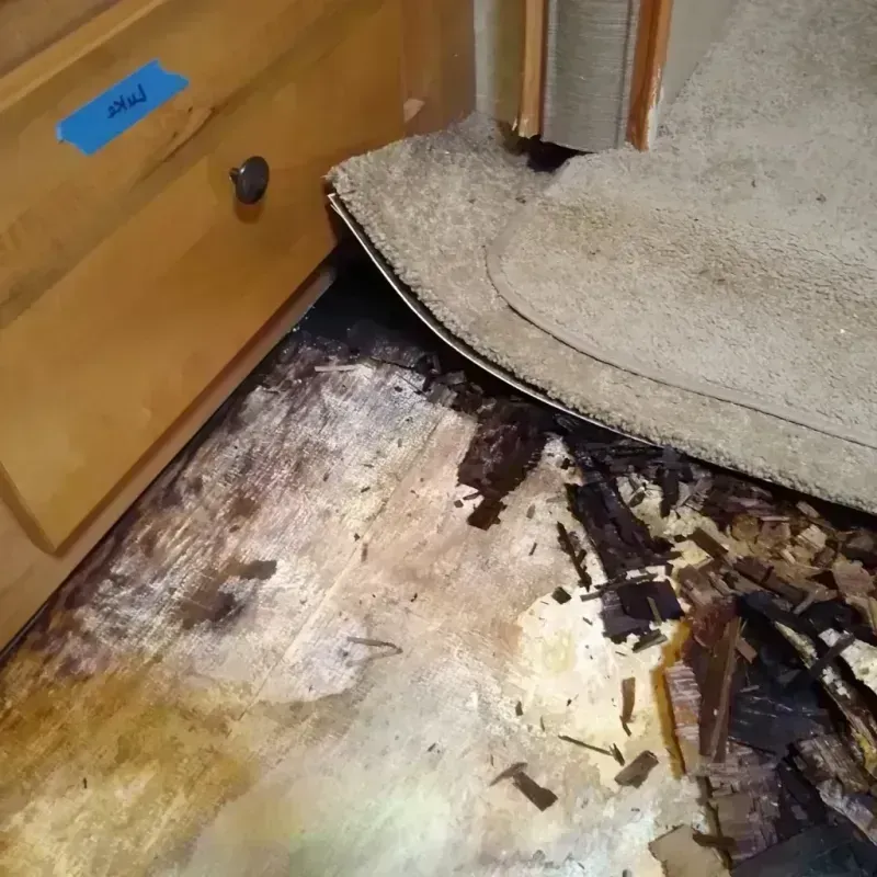 Best Wood Floor Water Damage Service in Spooner, WI